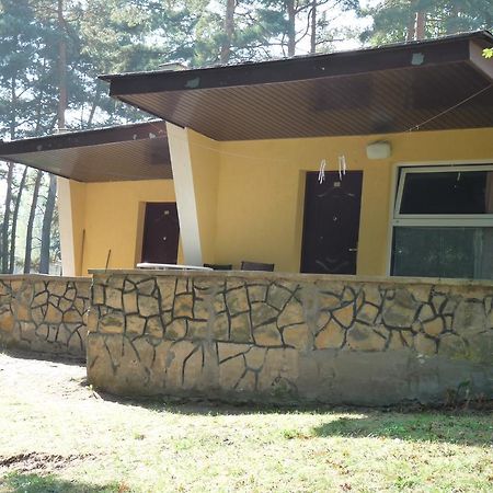 Osrodek Wypoczynkowy Jelonek Wolsztyn Exterior foto